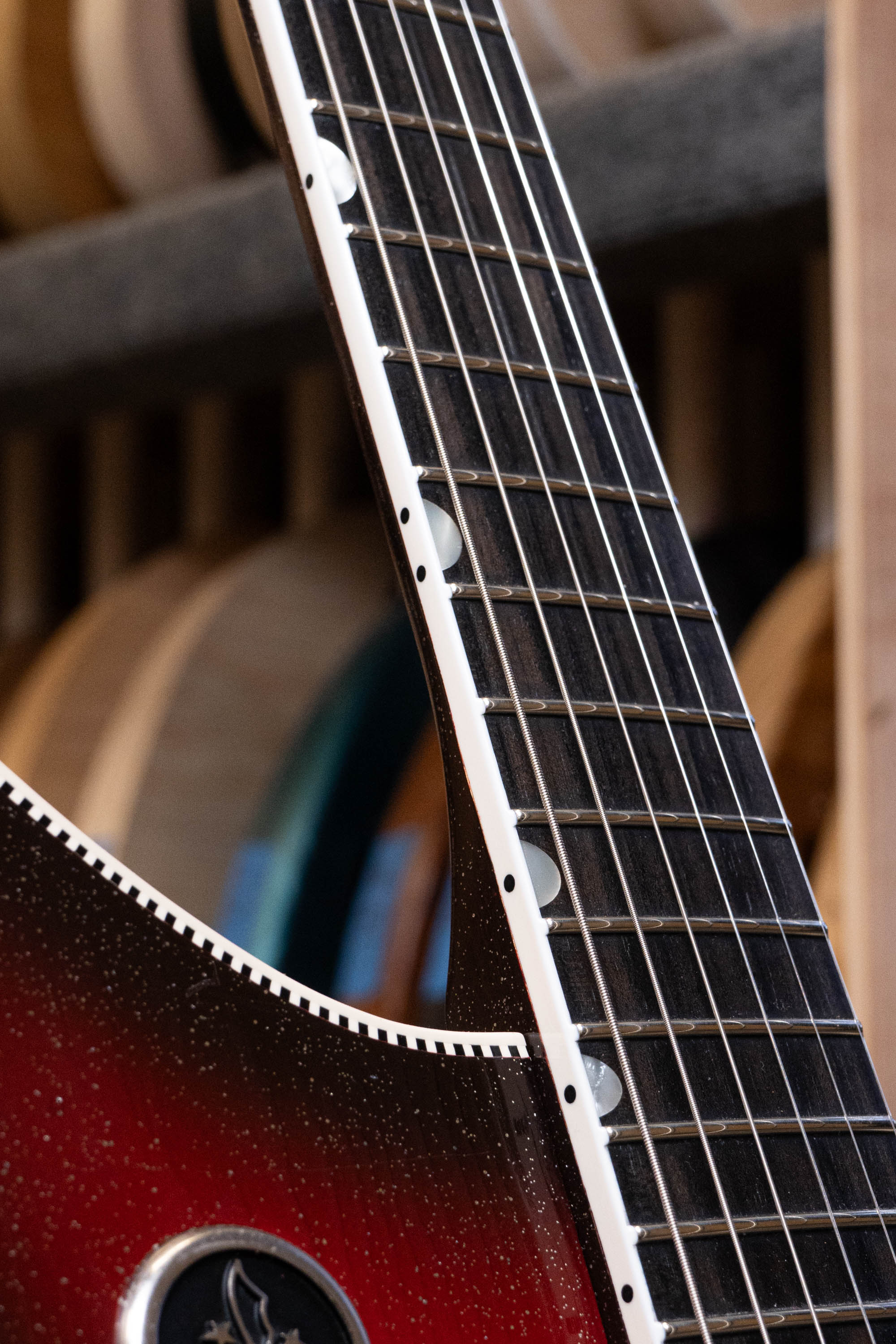 MIRIS J - Silvertone Burst | Signature (4 of 4) - Image 7