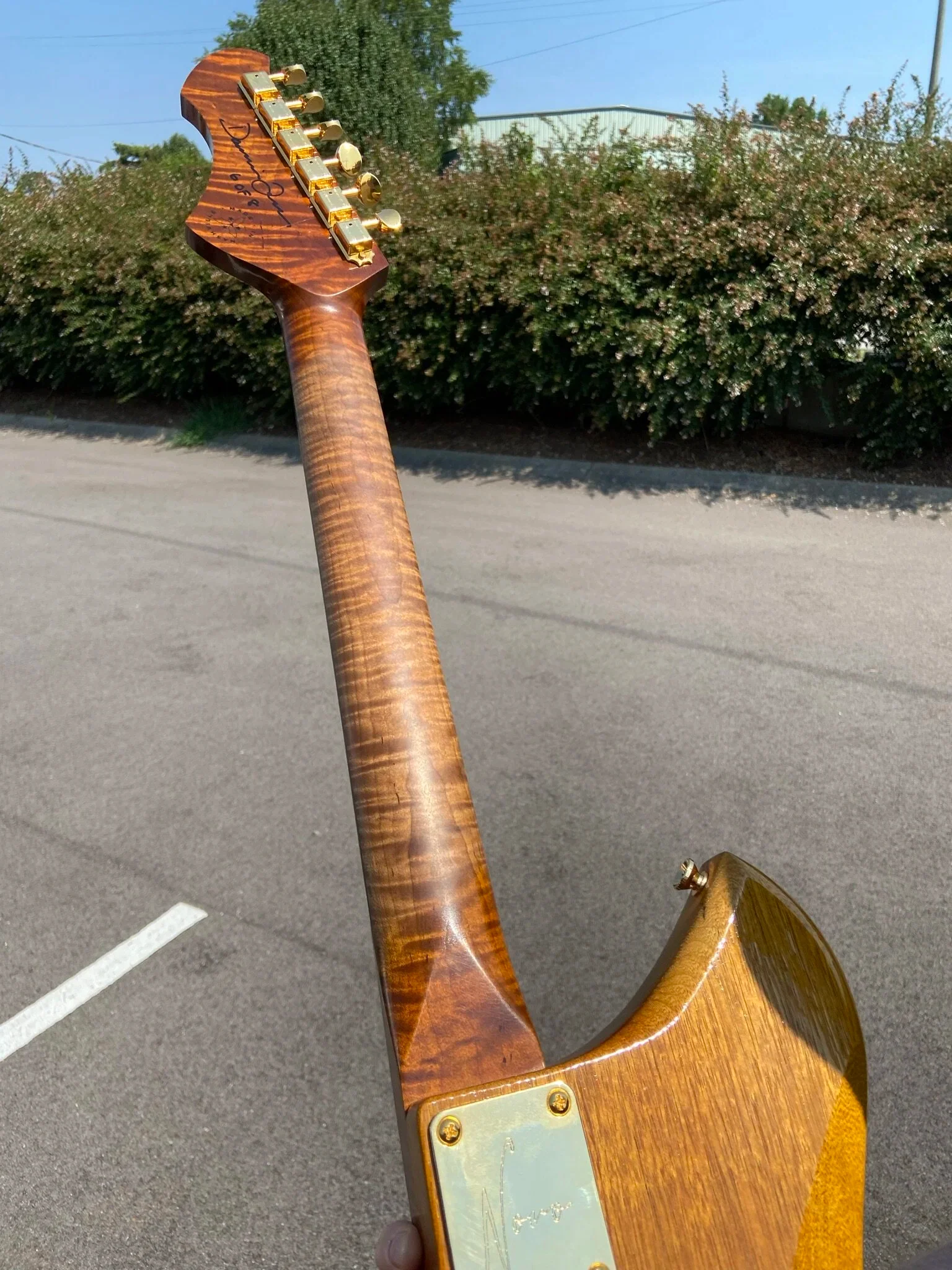 Signature SERUS P2 - Korina (6 of 8) - Image 3