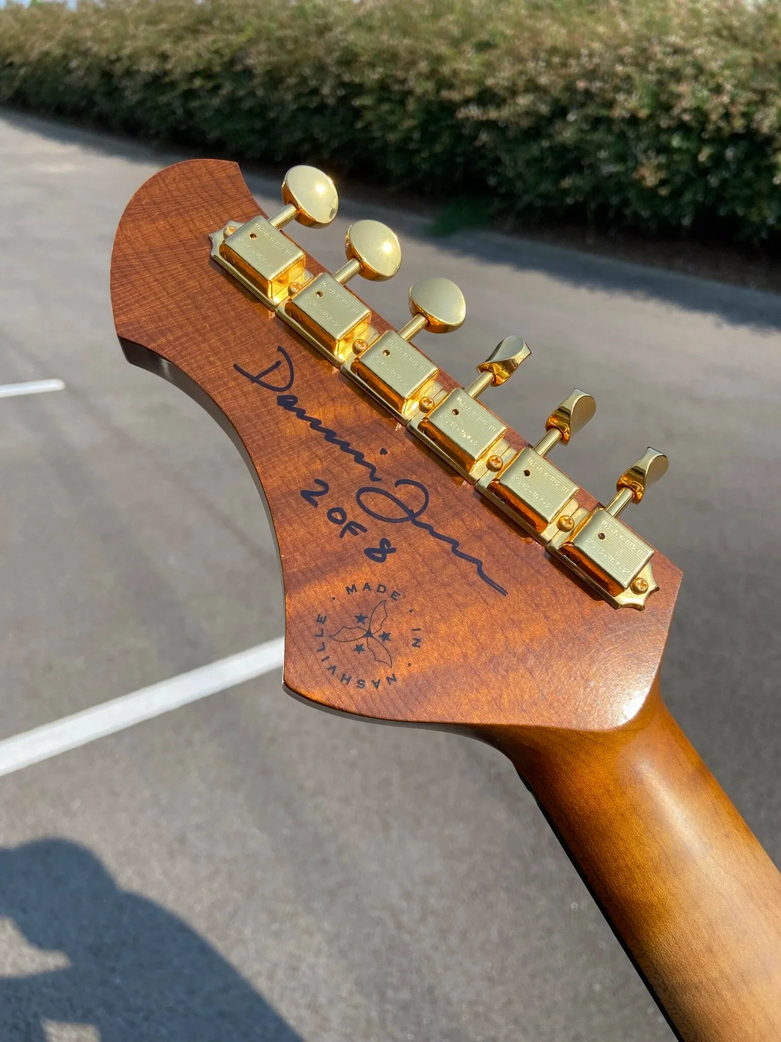 Signature SERUS P2 - Korina (2 of 8) - Image 4