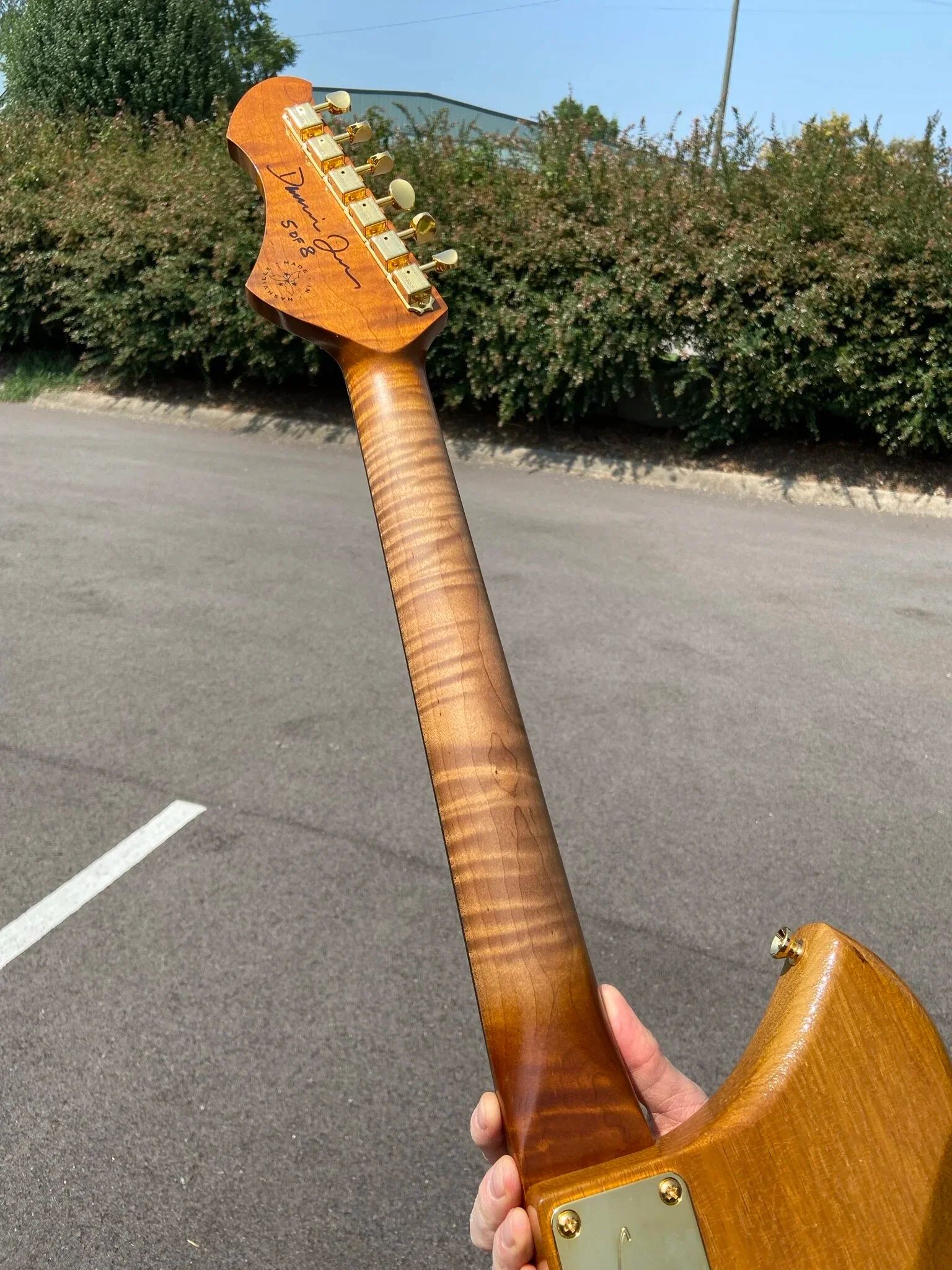Signature SERUS P2 - Korina (5 of 8) - Image 6